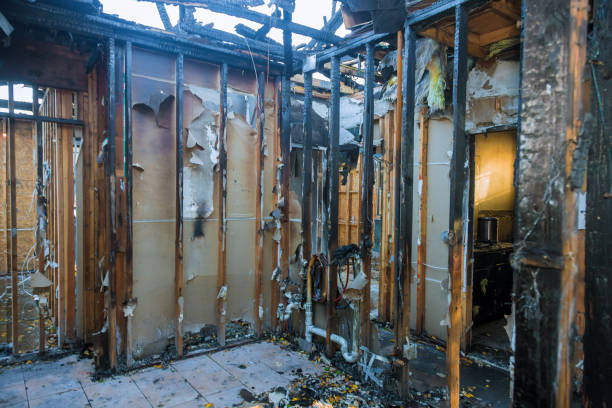 Professional Structural Rebuild technician working in New Prague, MN