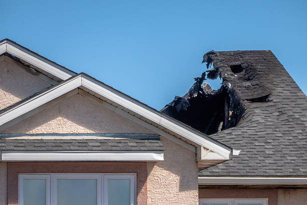 Top rated local Structural Rebuild specialists in New Prague, MN